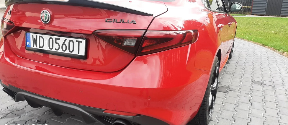 Alfa Romeo Giulia cena 115900 przebieg: 19000, rok produkcji 2022 z Warszawa małe 562